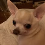 Patsy Beeler - Facebook