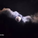 Patsy Benedict - @benedict.patsy - Instagram