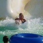 Patsy Bennett - @patsyabennett - Instagram