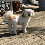 Patsy Bennett - @pbennetteks - Instagram