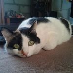 Patsy Benson - @patsybenson3730 - Instagram