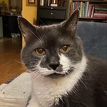 Patty Bentley - @plattpatty - Instagram