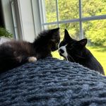 Patty Devine Bergeron - @pberg5538 - Instagram