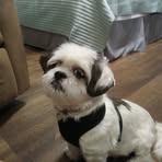 Patsy Best - Facebook