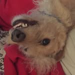 Patty Beverly - @pattydrivesajuke - Instagram
