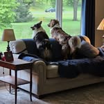 Patty Beverly Stanton - @pattybstanton - Instagram