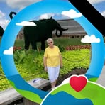 Patsy Bevis - Facebook