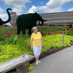 Patsy Bevis - Facebook