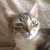 Patsy Bland Wofford - Facebook