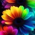 Patty Blank - Facebook