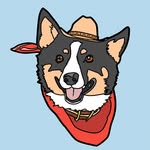 Patsy 🐾💚 - @patsythebluecorgi - Instagram