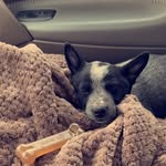 @patsy_blue22 - Instagram