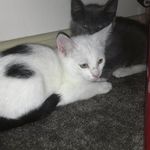 Patsy Bolding - @peabosmom - Instagram