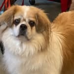 Patsy Boles - @patsy_boles_ - Instagram