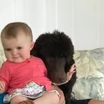 Patty Boles - @pmboles52 - Instagram