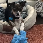 Patty Boles MacIsaac - @mrsranchpatty - Instagram