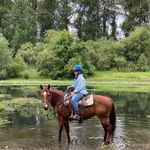Patty Bolton Parks - @pattyboltonparks - Instagram