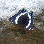 Patty Bolton-Reger - @pm427 - Instagram