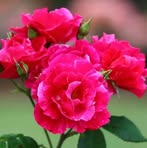 Patsy Bond - Facebook