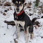 Patsy Booth - @paboo2021 - Instagram