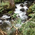 patsyb - @patsy_booth - Instagram