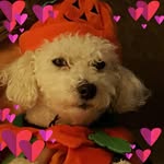 Patty Boucher - @boucherpatty - Instagram