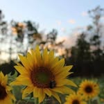 Patsy Bowen - @bowen.patsy - Instagram