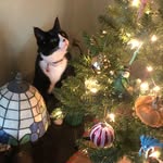 PoorPoconoPatsy - @patsybowenoboy - Instagram