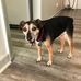 Patsy Bowers - Facebook