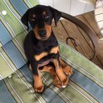 Patsy C Bowers - @lakefloater - Instagram