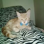 Patsy Bowling - @patsy.bowling.79 - Instagram