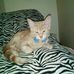 Patsy Bowling - Facebook