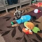 Patsy Bowling Wimmer - @patsy020553 - Instagram