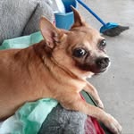 Patsy Johnson Bowling - @patsybowlinh - Instagram