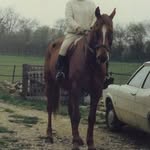 Patsy Tarbox - @patsytarbox - Instagram