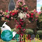 Patsy Boykin - Facebook