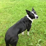 PatsyBoyle - @patsboyle10 - Instagram