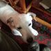 Patsy Bradshaw - Facebook