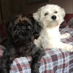 Patricia Brady - @patsybrady66 - Instagram
