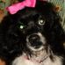 Patsy Brandt - Facebook