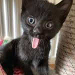 Patsy Brennan - @patsypriorygirl - Instagram