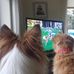 Patsy Brennan - Facebook