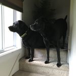 Patsybrenner - @patsybrenner - Instagram