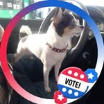 Patsy Brewer - @patsybrewer427 - Instagram