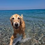 Patsy Brewer - @ewnetodike - Instagram