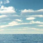 PatsyBrewer - @patsybrewers - Instagram