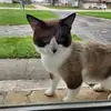 Pat Brewster - @pat.brewster - TikTok