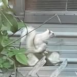Patsy Brewton - @brewton.patsy - Instagram