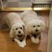Patty Browning - Facebook