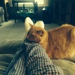 Patty Bryan - @bryan.patty - Instagram